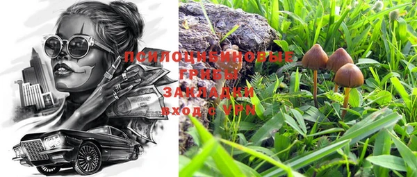 крисы Вязники