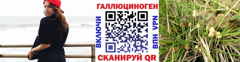 Псилоцибиновые грибы мицелий  Заозёрный 